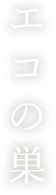 エコの巣