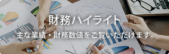 財務ハイライト